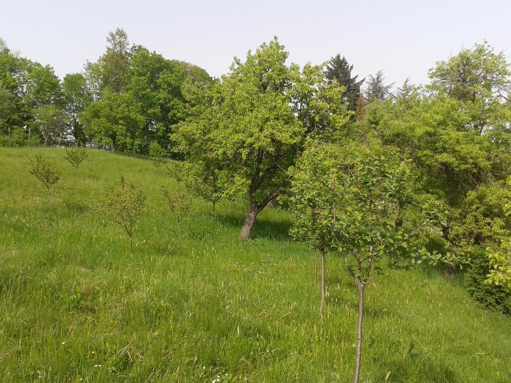 Country House Stoljetna Vila Seona Kültér fotó