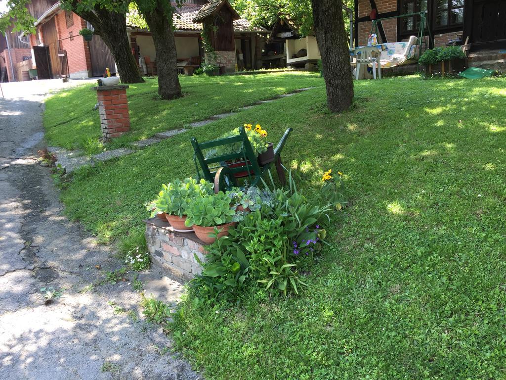 Country House Stoljetna Vila Seona Kültér fotó